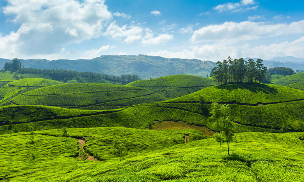 holidays-in-india-kerala-ooty-munnar-kodaikanal-tour-super-jet